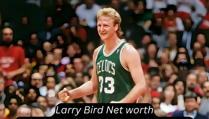 larry bird net worth
