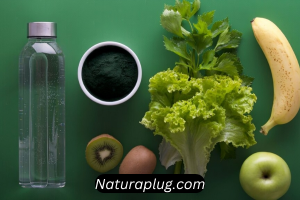 naturaplug.com